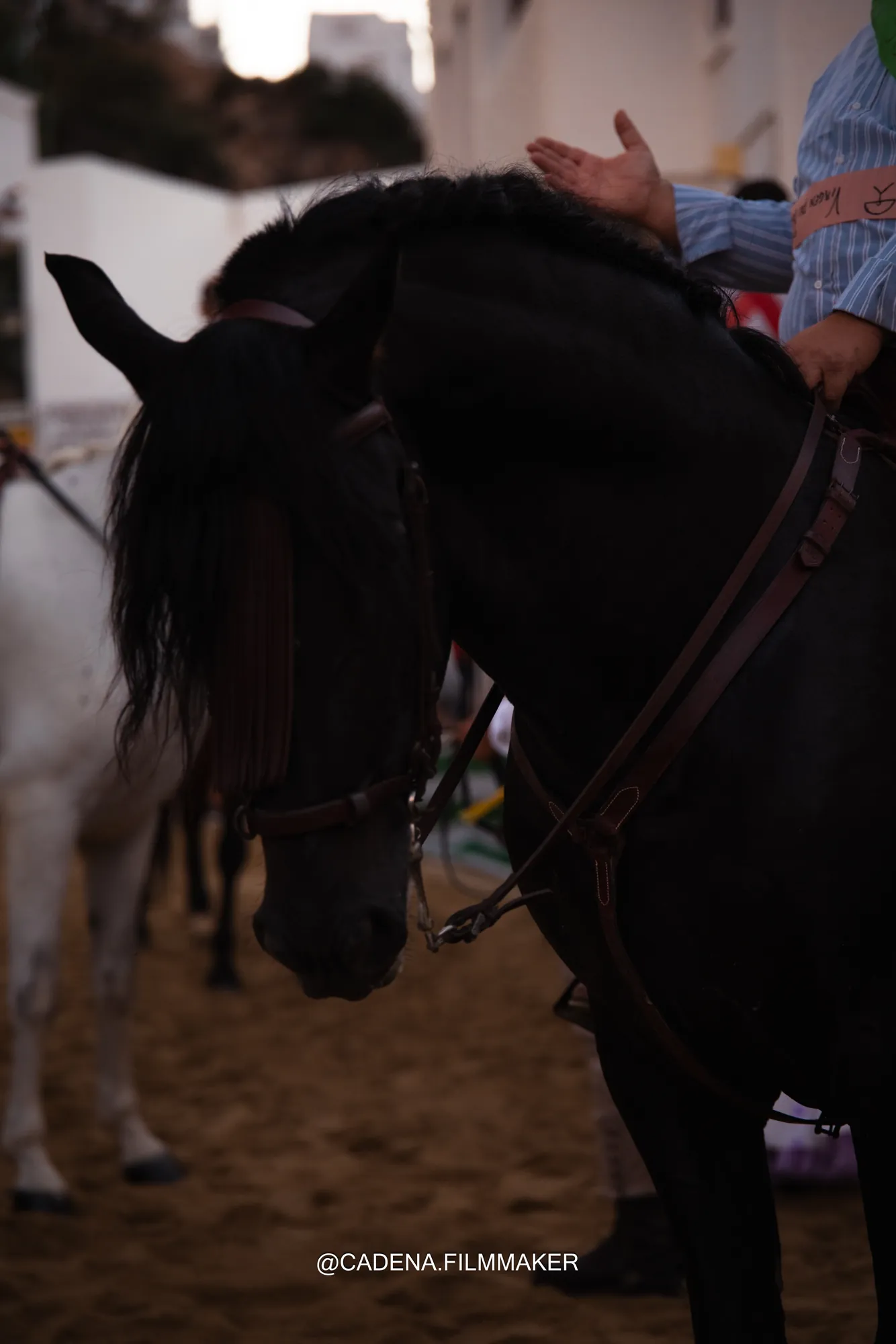 Carrera de Cintas · Mojácar — 11