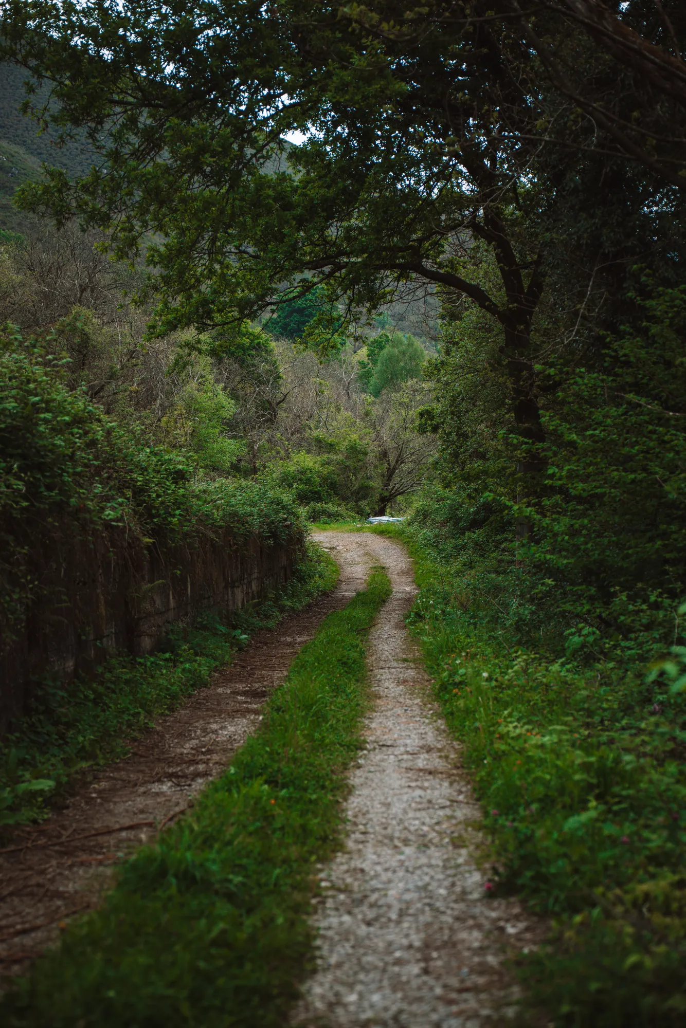 Senderos — 1