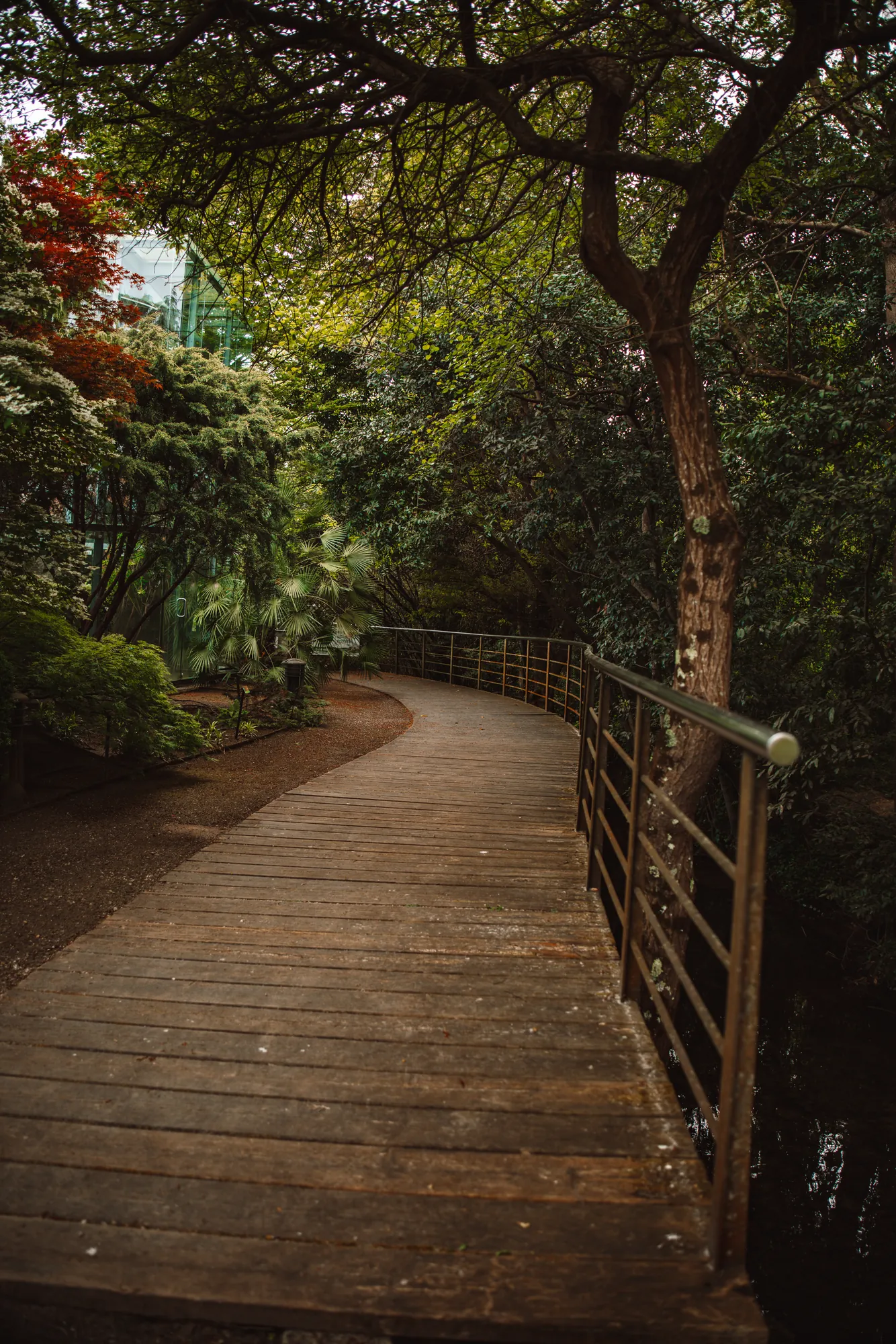 Senderos — 5