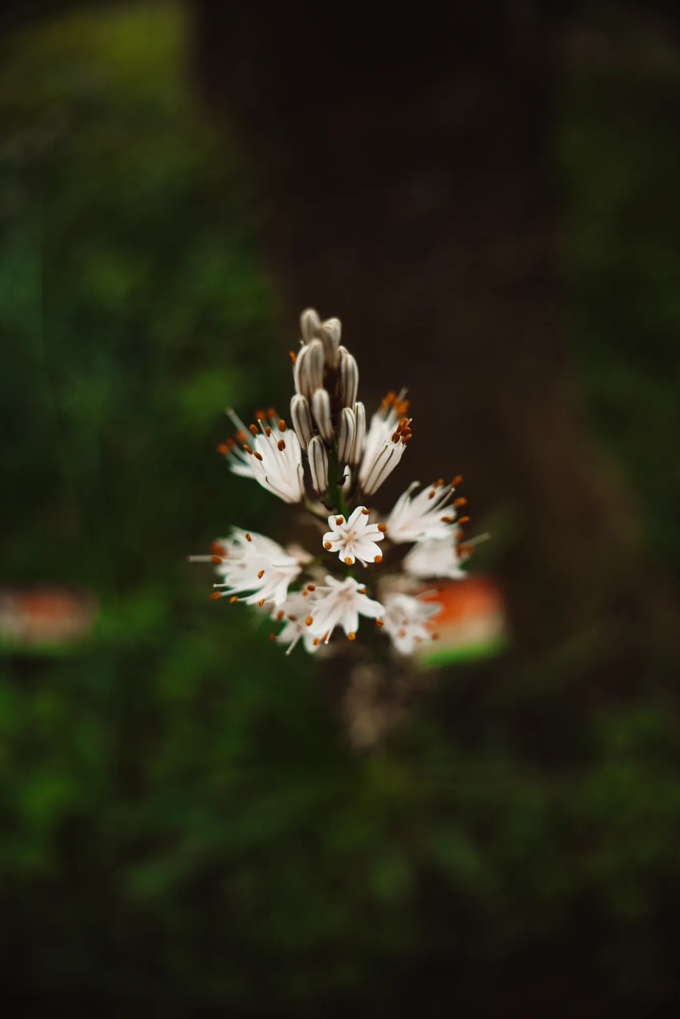 Senderos — 7