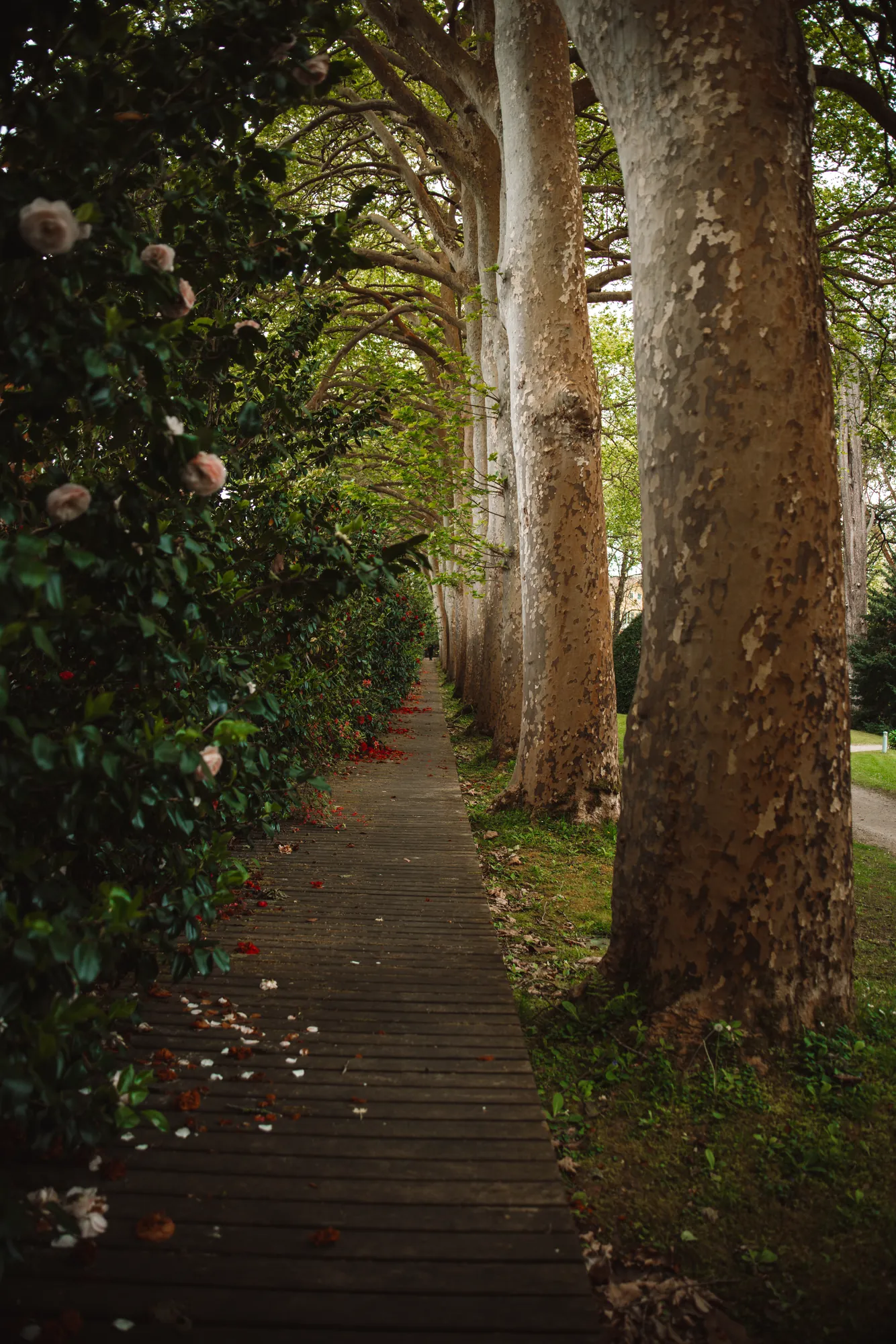 Senderos — 10